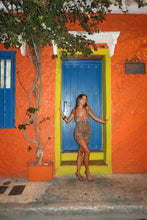 Load image into Gallery viewer, Loleia - La Leopardo mini dress