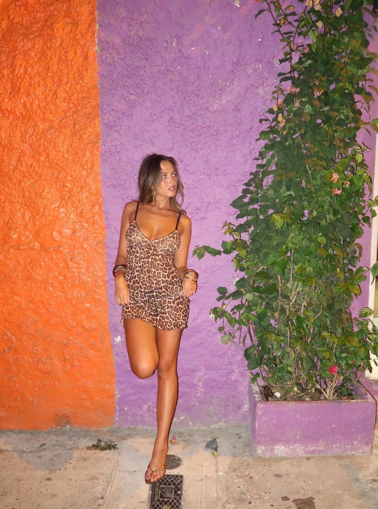 loraine mini dress in leopard Loleia